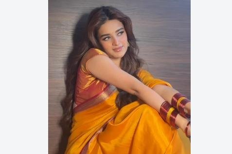 పెళ్లిపై నిధి అగర్వాల్ ఇంట్రెస్టింగ్ కామెంట్స్!